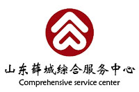 山東省薛城區(qū)綜合服務中心政府辦公家具采購項目鴻業(yè)家具440W中標